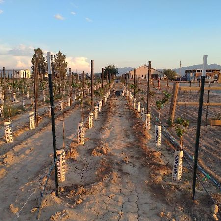 Black Star Ranch Vineyard Pahrump Exteriér fotografie